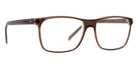 Götti® Minu DTB 56 GOT Minu DTB 56 - Transparent Dark Brown Eyeglasses