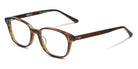 SALT.® HAYES 51 SAL HAYES 51 002 51 - Matte Amber Glacier Eyeglasses