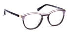 J.F. Rey® JF1452 JFR JF1452 1590 48 - 1590 Top Alu Raw/Brown/Gold Eyeglasses