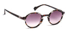 J.F. Rey® JF1527 Sun JFR JF1527 Sun 0935SOL 46 - 0935SOL Demi Gray/Burgundy Sunglasses
