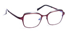J.F. Rey® JF2781 JFR JF2781 7510 49 - 7510 Plum/Shiny Silver Eyeglasses