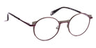 J.F. Rey® PM055 JFR PM055 4975 47 - 4975 Plum/Green Eyeglasses
