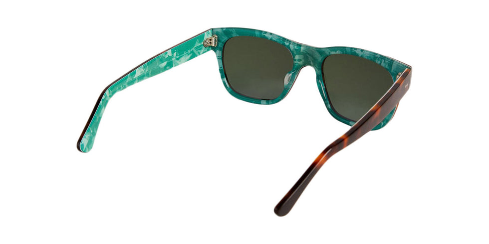 OLIVER GOLDSMITH® & TED BAKER® -LORD  TORTOISE SUNGLASSES