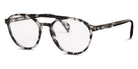 Oliver Goldsmith® MOKO - Black Tortoise Eyeglasses