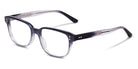 SALT.® NELSON 52 SAL NELSON 52 003 52 - Coastal Fog Eyeglasses