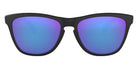 Oakley Frogskins OO9013 24-298 55 - Matte Black