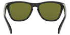 Oakley Frogskins OO9013 24-325 55