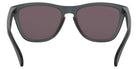 Oakley Frogskins OO9013 9013E3 55