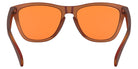 Oakley Frogskins OO9013 9013F9 55