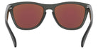Oakley Frogskins (A) OO9245 924574 54