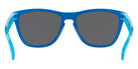 Oakley Frogskins (A) OO9245 9245C9 54