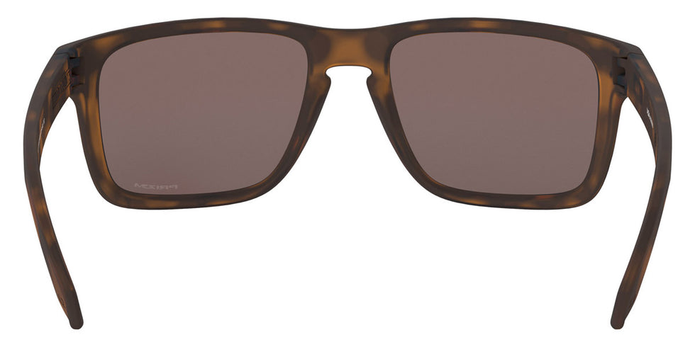 Oakley Holbrook XL OO9417 941702 59