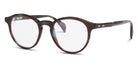 Oliver Goldsmith® ROBINSON - Blue Tortoiseshell Eyeglasses