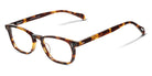SALT.® ZISSOU 49 SAL ZISSOU 49 001 49 - Antique Leaves Eyeglasses